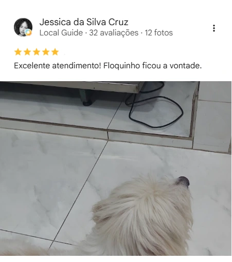 Avaliação 5 estrelas