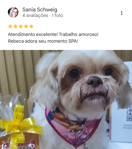 Avaliação 5 estrelas