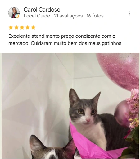 Avaliação 5 estrelas